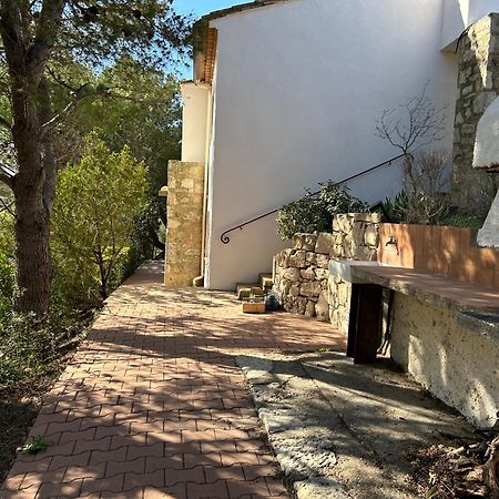 Grand T2 Bis Avec Terrasse Et Vue Apartment Portel-des-Corbieres Exterior foto